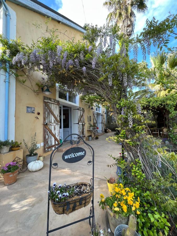 Yellow Aloe Clanwilliam Exterior foto