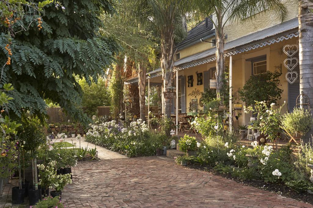 Yellow Aloe Clanwilliam Exterior foto