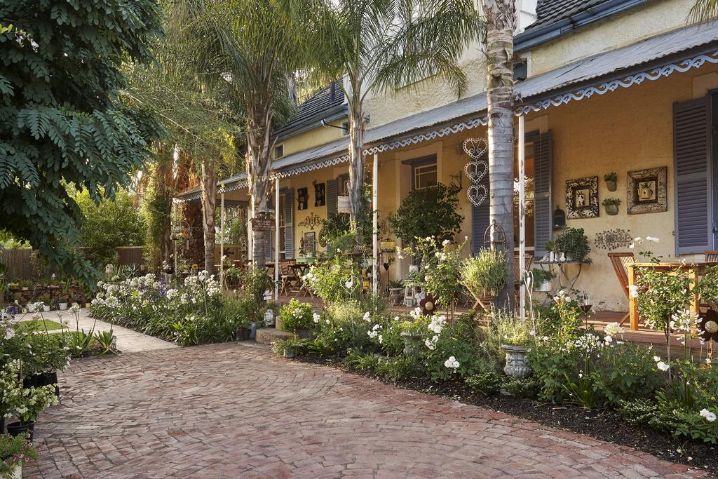 Yellow Aloe Clanwilliam Exterior foto